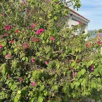 Ammos Boutique Villa Elafonissos